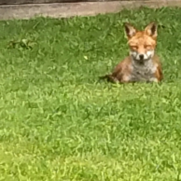 Meet your Posher, Catherine - Picture 1 of 1